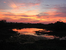 Pôr do sol no Pantanal - Mato Grosso do Sul